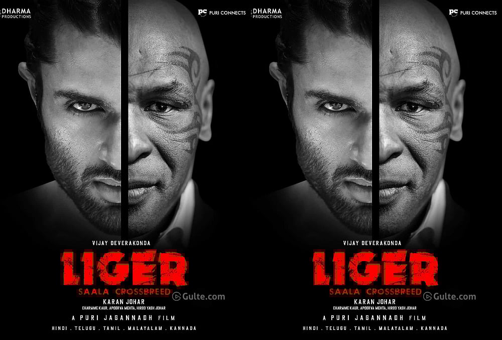 'Liger' Star Vijay Deverakonda Meets Salman Khan, Chiranjeevi On The Sets of 'Godfather'