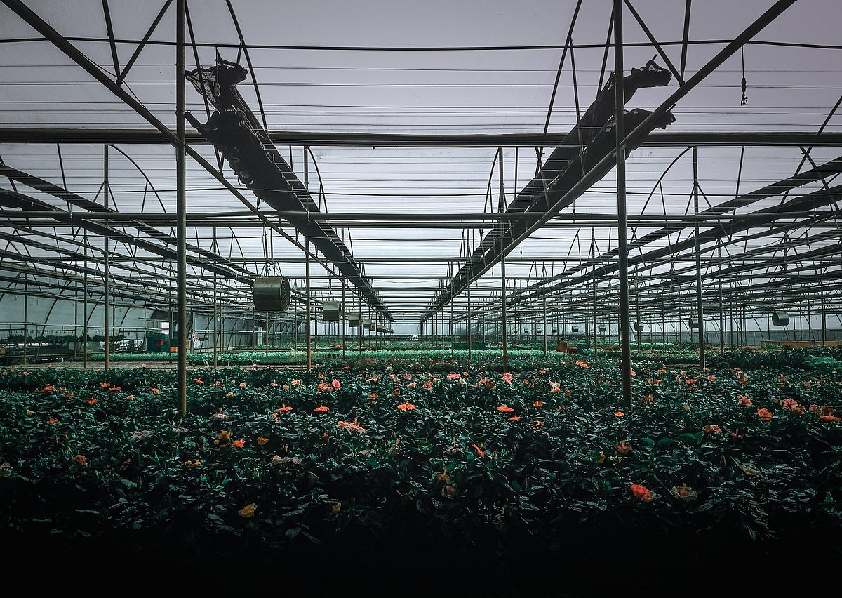 Greenhouse Horticulture Is Expanding At A Rapid Pace, But…