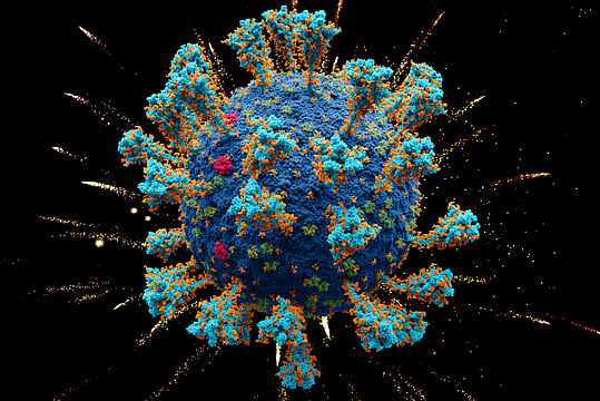 New Covid-19 Variant 'IHU' More Infectious Than Omicron Discovered In France: What We Know