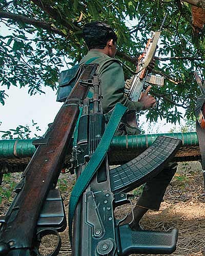 “They Can Only Kill Innocents, Not Us”