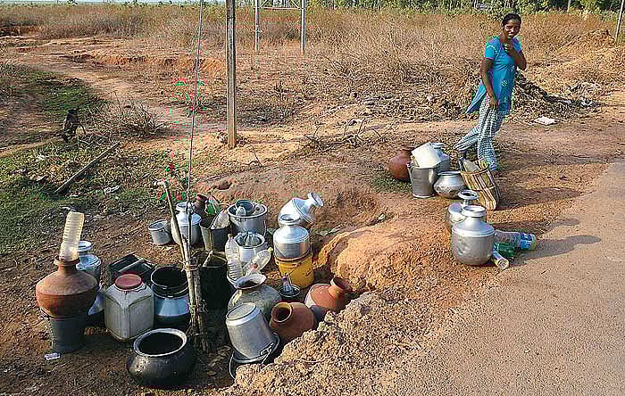 The Path Rarely Taken