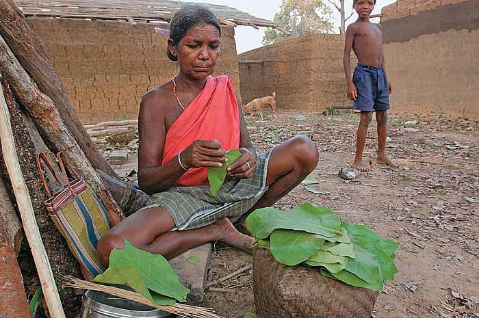 A Last Note To A Neo-Colonialist