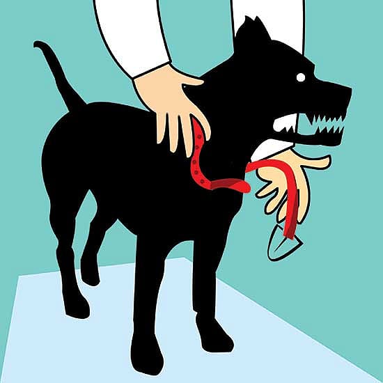 Police Will Police The Police