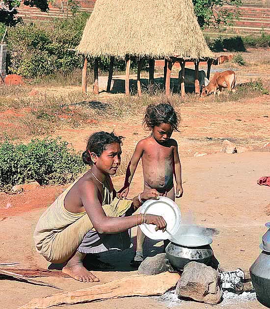 Godavari: The New Narmada?