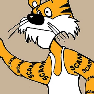 Open Letter To Sonia Gandhi