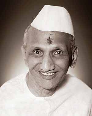 Riding Newspaper Tigers