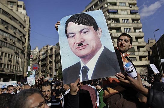 Lotuses For The Pharaoh