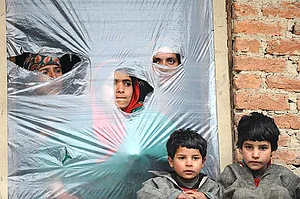 What The Brook Saw: A Need For Pathetic Fallacy