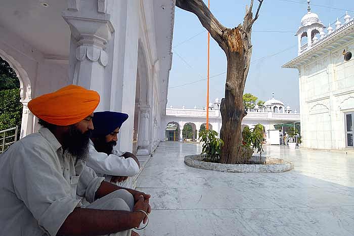 Grand Truncated History