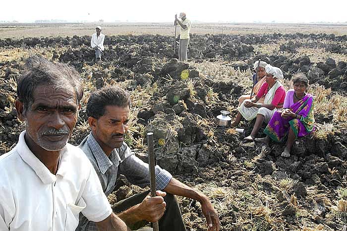 A Sezpool Of Factors