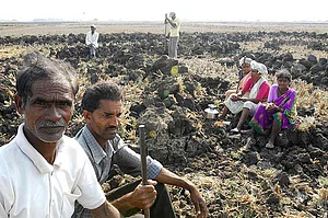 A Sezpool Of Factors