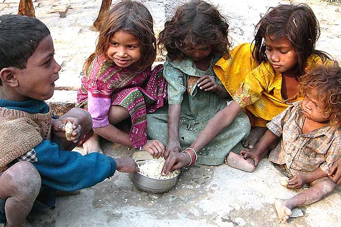 Lots Of Food For Thought