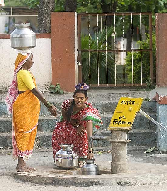 How Green These Barrens