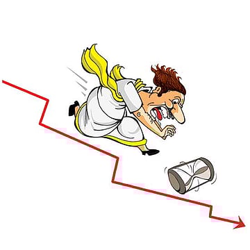 Where’s My Curd-Rice?