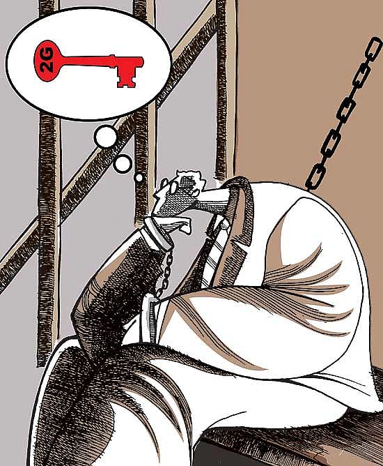 Too Much Iron In the Diet...