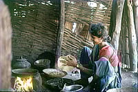 Sweat Of Shiva’s Back