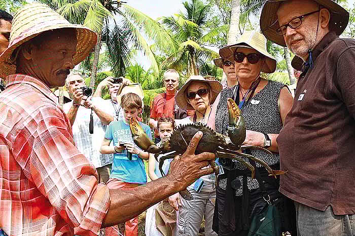 Sleeps With The Fishes