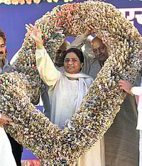 Disproportionate Logic Disproportionate Logic