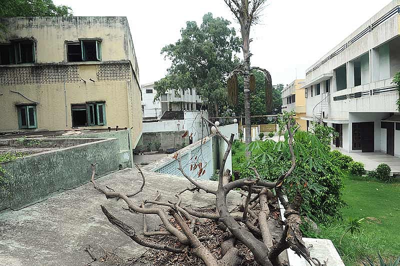 A Fall Into Sear And Yellow Leaf