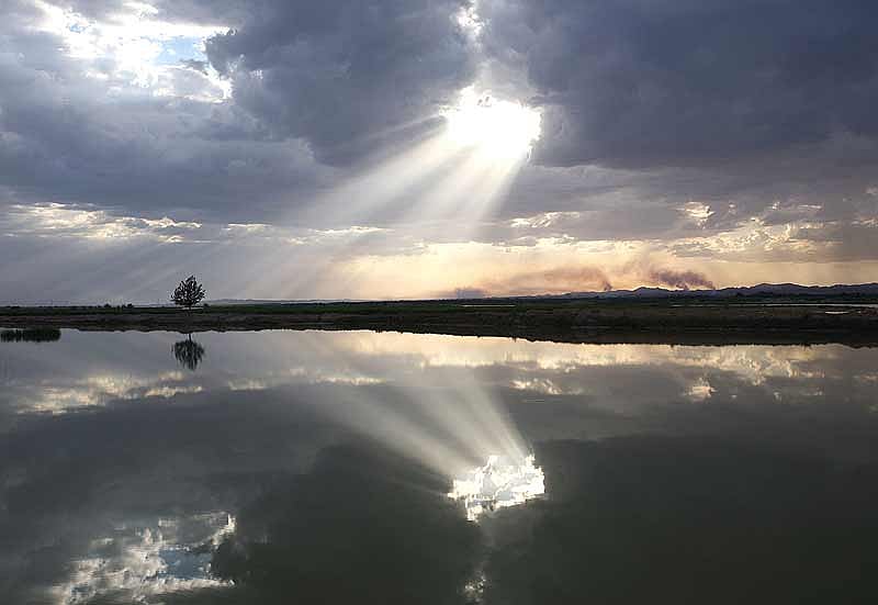 Zhang’s Happy To Die