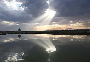 Zhang’s Happy To Die