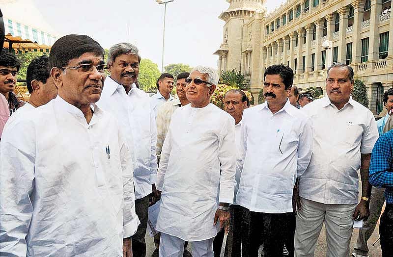 Cactus To The Kamala