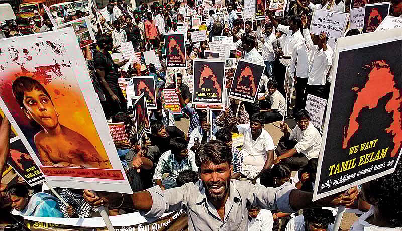 Point-Blank Politics