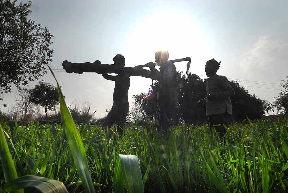 No Country For Countrymen