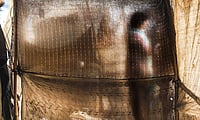 Thread Bared
