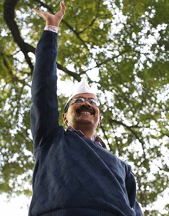 Year of the Dark Horse