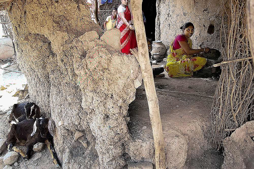 Dry Thoughts In A Dry Season