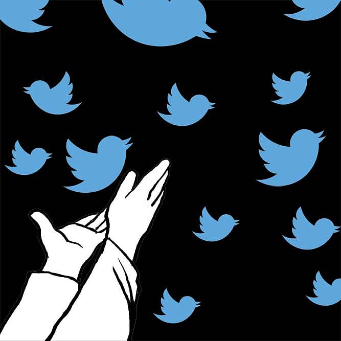 A L’il Bird Told You