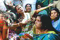 Chessboard Without A Queen Bee Chessboard Without A Queen Bee