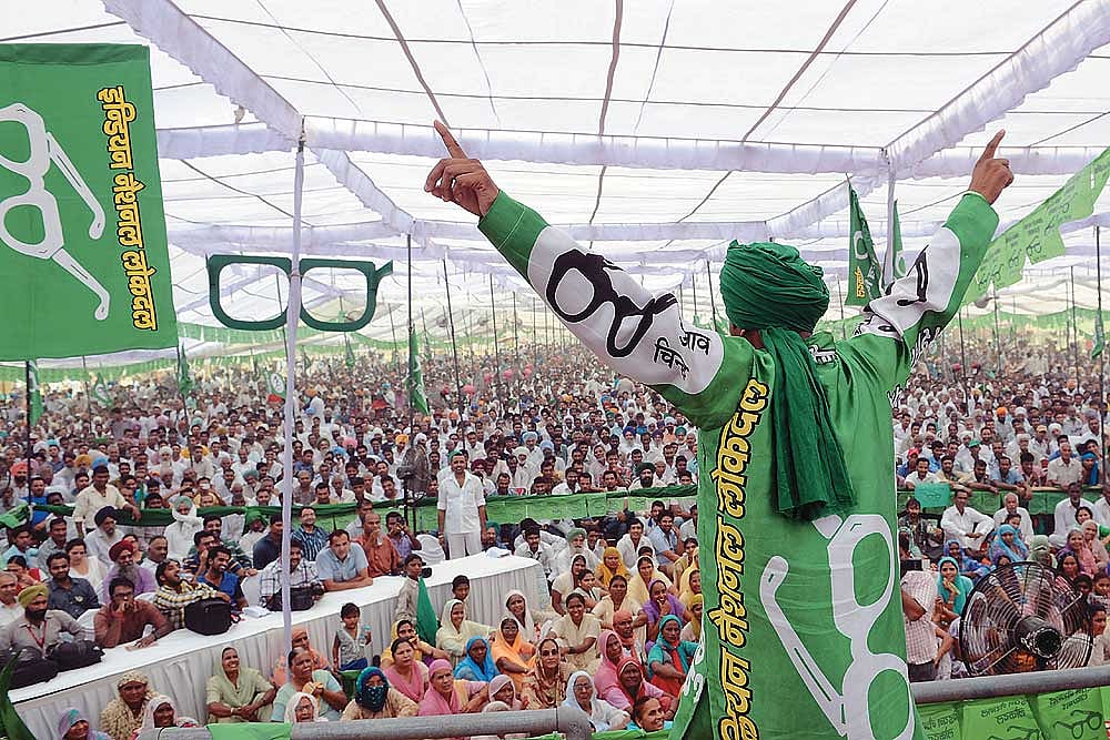 Saffron Bleeds Into Green