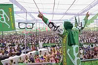 Saffron Bleeds Into Green Saffron Bleeds Into Green