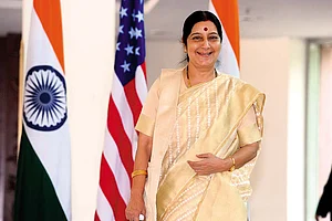 The Better Bindi Diplomat