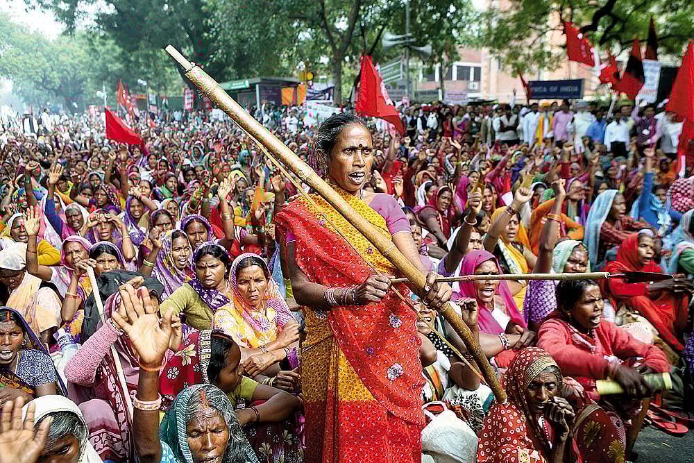 A Law To Fumble Through Harmland