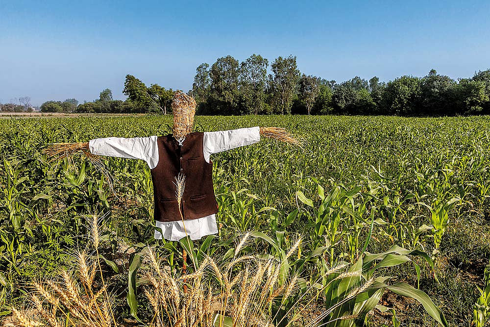 Marking Out The Margins