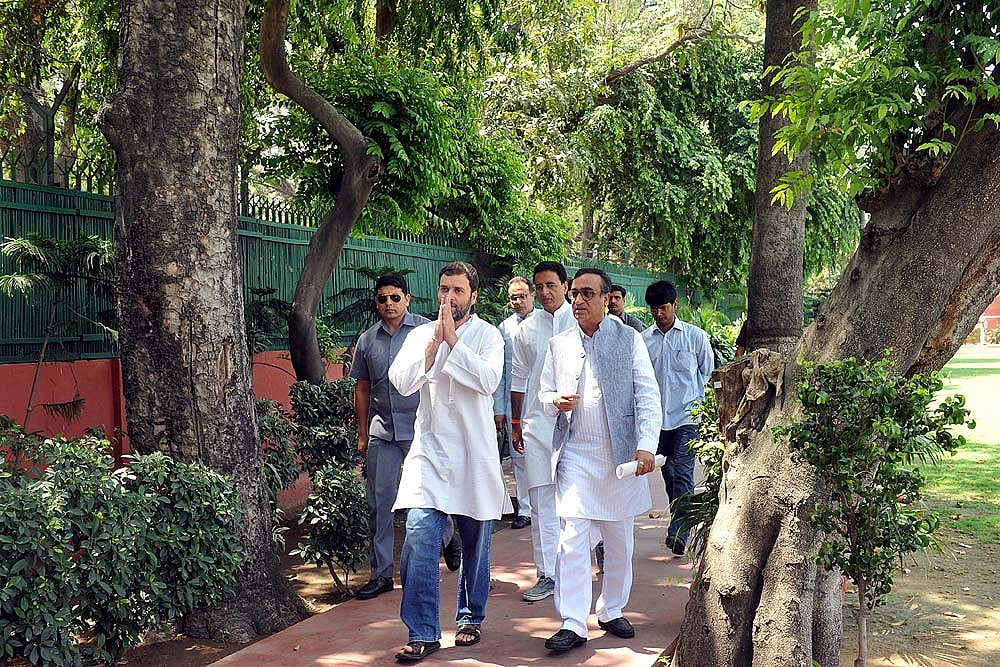 Dreaming Of The Phoenix