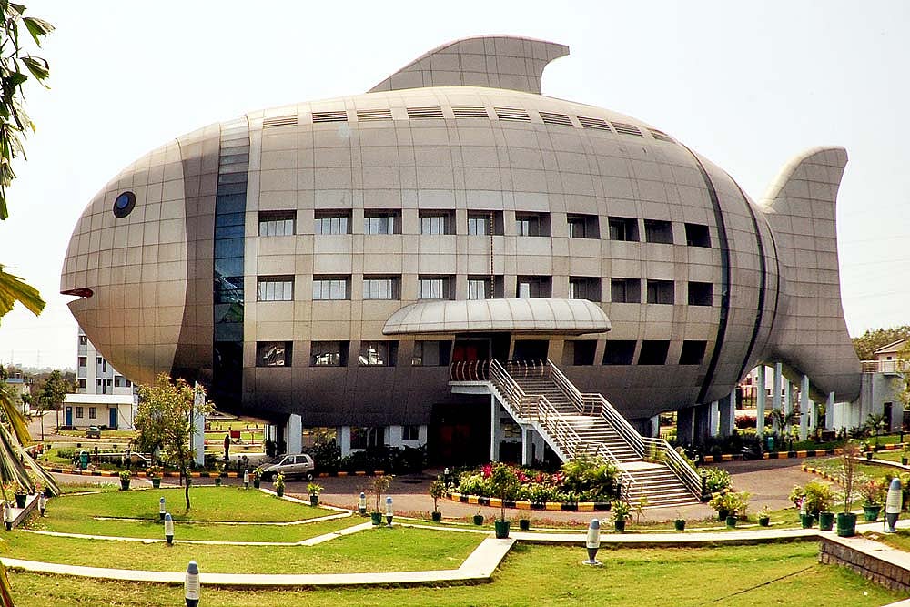 “Help, The Termites Are Spreading”