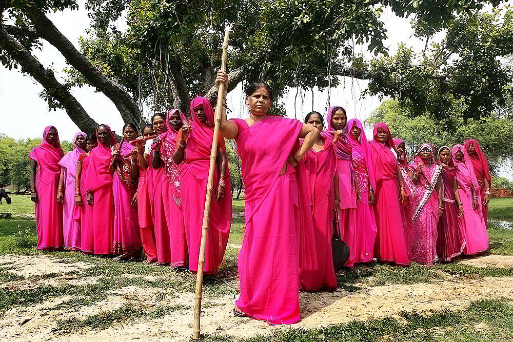 The Pink Revolutionaries