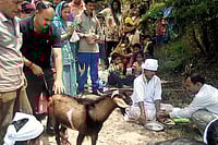 There’s No Meat To The Vegetarianism Myth There’s No Meat To The Vegetarianism Myth