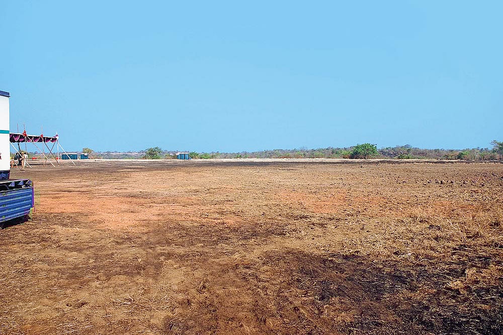 A Flight Of The Piggish