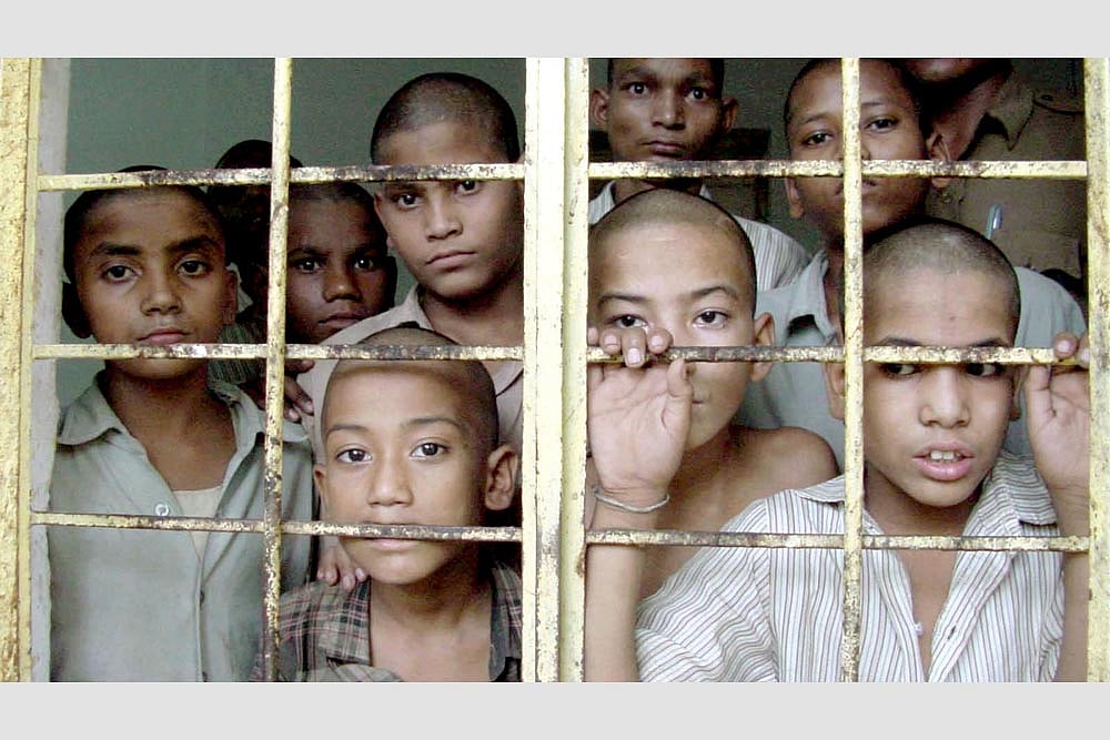 The Gentle Touch Of Rabbit Fur