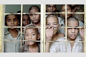 The Gentle Touch Of Rabbit Fur