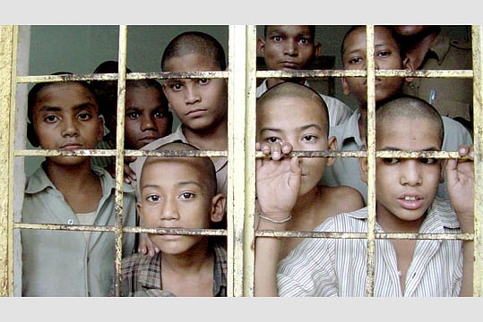 The Gentle Touch Of Rabbit Fur