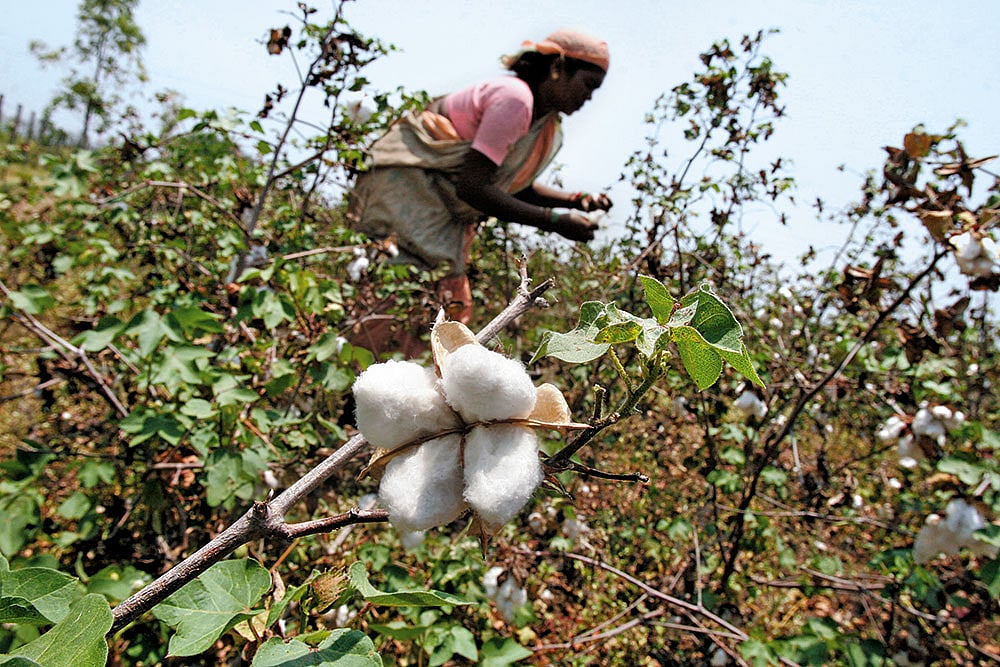 East Of Eden, But Not Far