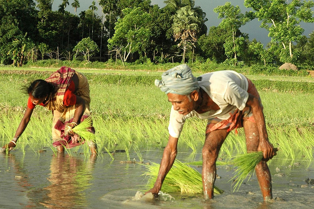 X-Ray The Skies For A Good Sign