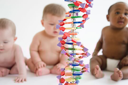 In The Double Helix’s Tight Embrace