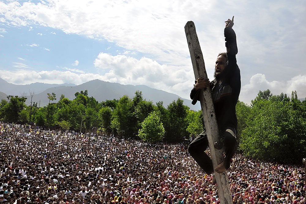 Streetside Plebiscite